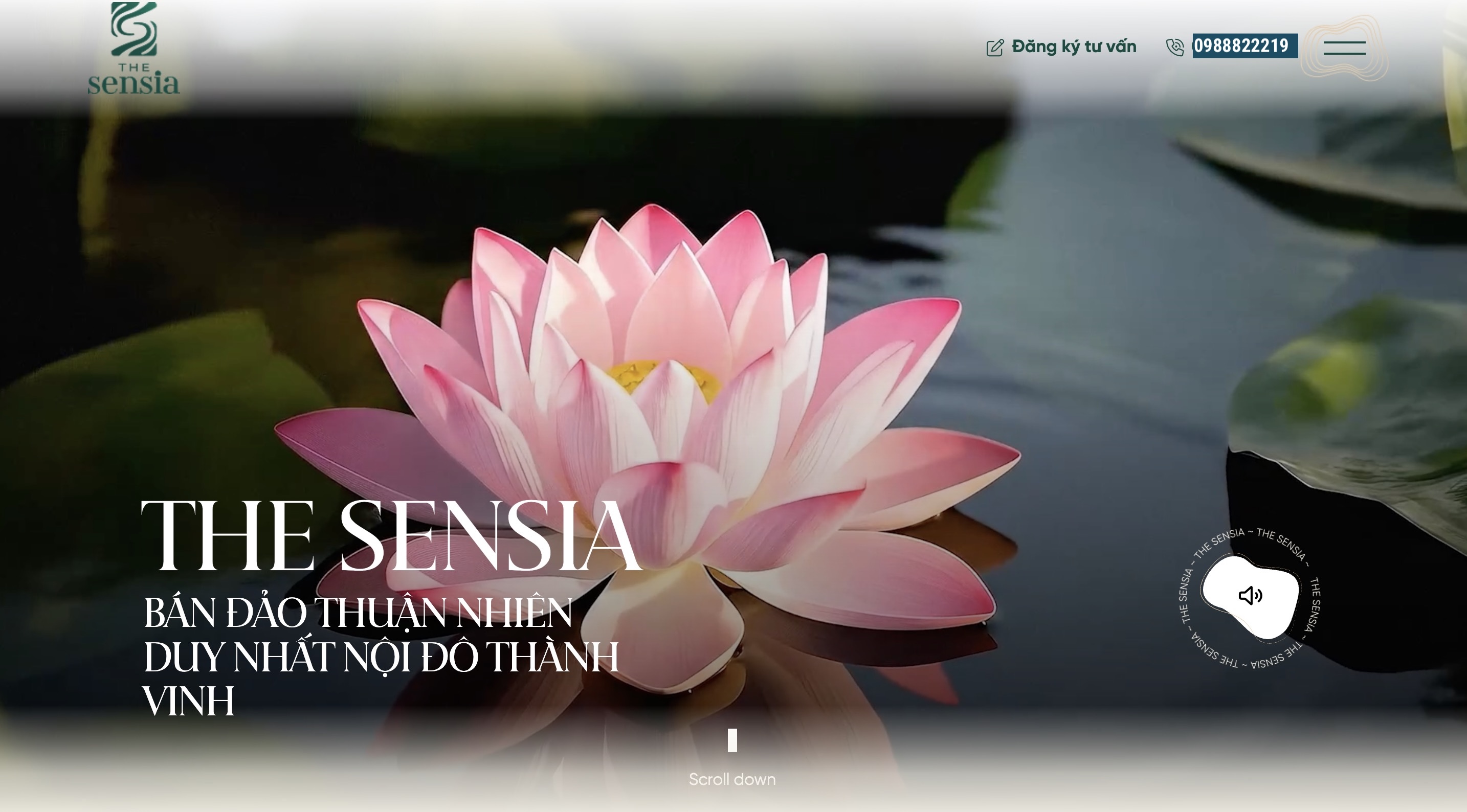 The Sensia